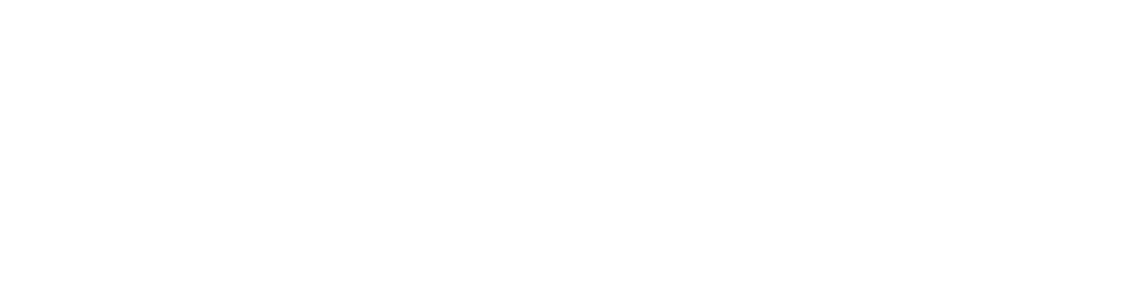Dr. Tobias Flöter Wortmarke